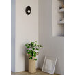 Aplica moderna Cody neagra abajur sticla opal LED 11W/890lm/3000K, 01-3288 Redo