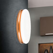 Aplica/Plafoniera James moderna LED 24W/1300lm/3000K, DL 7-678/32 CU/opal Orion
