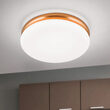 Aplica/Plafoniera James moderna LED 24W/1300lm/3000K, DL 7-678/32 CU/opal Orion