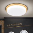Plafoniera Lerox moderna LED 29W/2100lm/3000K DL 7-669/30 GOLD/opal-matt Orion