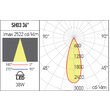 Proiector LED pe sina 0°- 355° orizontal și 0°- 90° vertical 38W/4000K/4910lm XShow SH03NW SBK Arelux