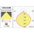 Corp de iluminat rezidential+urban aluminiu turnat H=1m IP65 2x10W/4000K/2x1550lm XTorre TOR04NW DG Arelux