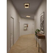 Plafoniera LED moderna auriu mat 36W/2155lm 3000K/4000K/6500K, Perimetro 05-975 Smarter
