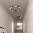 Cutii conexiuni electrice echipate alimentatoare DALI XAMBIT CANOPY AM04 SWH Arelux AM04CBDALI SWH