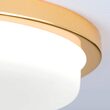 Plafoniera Lerox moderna LED 29W/2100lm/3000K DL 7-669/30 GOLD/opal-matt Orion