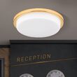 Plafoniera Lerox moderna LED 29W/2100lm/3000K DL 7-669/30 GOLD/opal-matt Orion
