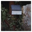 Proiector LED portabil cu panou solar si senzor PIR 1600lm/4000K Solo ZG122S Emos