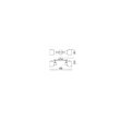 Aplica/plafoniera moderna negru mat abajur ambra,  Amber 04-484 Smarter