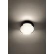 Aplica/plafoniera exterior gri IP54 LED 12W/1161lm/3000K D15, Skor 90003 Redo