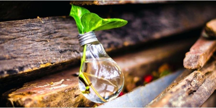 Ce surse de iluminat folosesti? LED versus surse incandescente