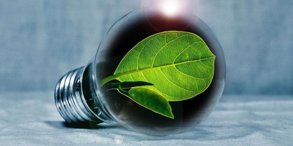 Mituri despre iluminarea cu LED