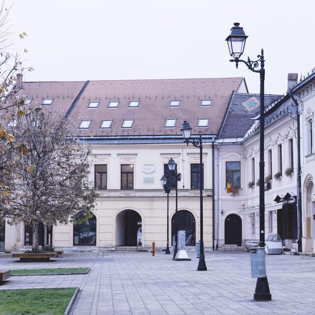 Cum a reușit Millenium Baia Mare să depășească provocările iluminatului și reabilitarii