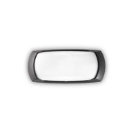 Aplica exterior IP66 dispersor rasina 1xE27/23W, FRANCY-2 AP1 123783 Ideal Lux