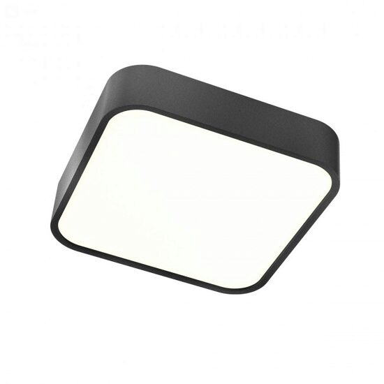 Aplica/Plafonieră moderna neagra baie IP44 LED 30W/3865lm/3000K, Screen IP 01-2499 Redo