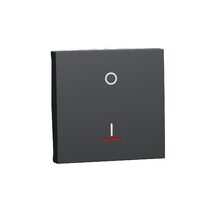 Intrerupator bipolar 16A indicator luminos 2m, surub, antracit NOUA UNICA Schneider Electric, NU326254S
