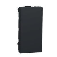 Obturator, 1m, antracit NOUA UNICA Schneider Electric, NU986554