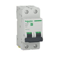 Siguranta automata 2P, 20A, curba C, 4.5kA, Schneider Electric Easy9 EZ9F32220
