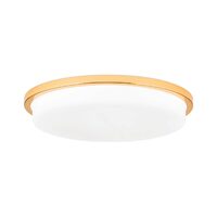 Plafoniera Lerox moderna LED 36W/2600lm/3000K, DL 7-670/40 GOLD/opal-matt Orion