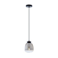 Lustra moderna neagra abajur sticla fumurie 1xE27/42W, Luke 01-3196 Smarter