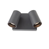 Aplica/Spot exterior IP65 LED orientabil gri 2x9W/2200K-4000K, Alan 90633 Smarter