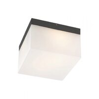 Aplica/Plafoniera exterior gri LED 4W/230lm/3000K, Cube 9442 Redo
