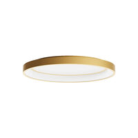 Plafoniera moderna ovala finisata auriu mat LED 40W/3000-4000K, Nobu 01-3804 Redo