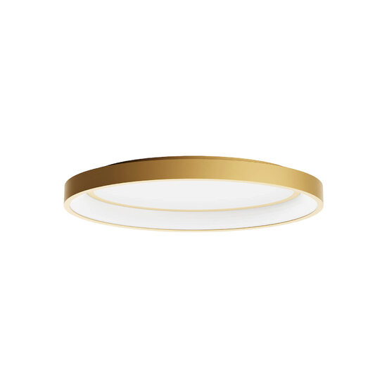 Plafoniera moderna ovala finisata auriu mat LED 40W/3000-4000K, Nobu 01-3804 Redo