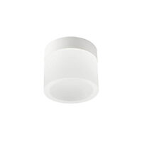 Plafoniera baie IP44 alb mat LED 6W/550lm/3000K-4000K, Naida 01-3357 Redo