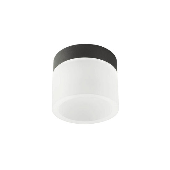 Plafoniera baie IP44 negru mat LED 6W/550lm/3000K-4000K, Naida 01-3359 Redo