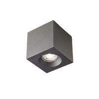 Spot baie IP44 negru mat dispersor sticla GU10/35W, Prato 01-3356 Redo