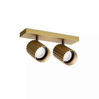Spot modern auriu mat 2x7W Delphi 01-3402 Redo