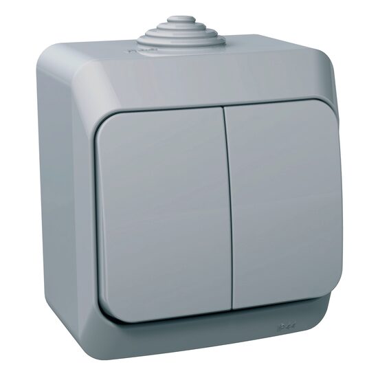 Intrerupator dublu gri, Schneider Electric CEDAR WDE000650