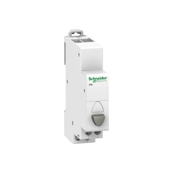 iPB buton gri, 1NO, 1NC, Schneider Electric ACTI9 A9E18033