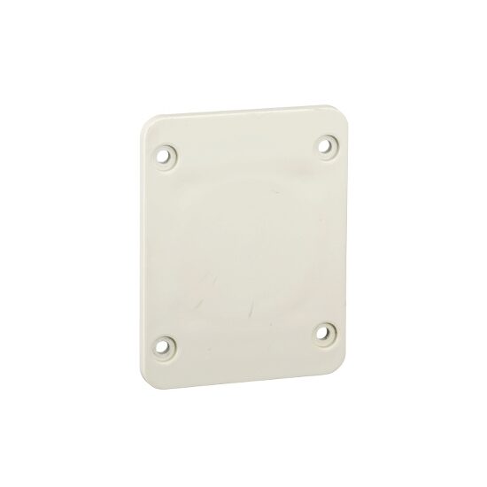 Placa 65x85 mm pentru priza 50x50 mm, Schneider Electric KAEDRA 13135
