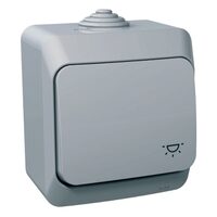 Intrerupator revenire cu simbol lumina, gri, Schneider Electric CEDAR WDE000613