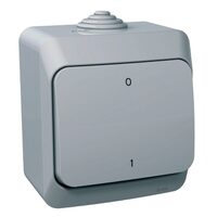 Intrerupator bipolar gri, Schneider Electric CEDAR WDE000620