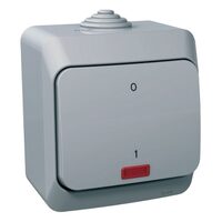 Intrerupator bipolar cu indicator luminos, gri, Schneider Electric CEDAR WDE000621