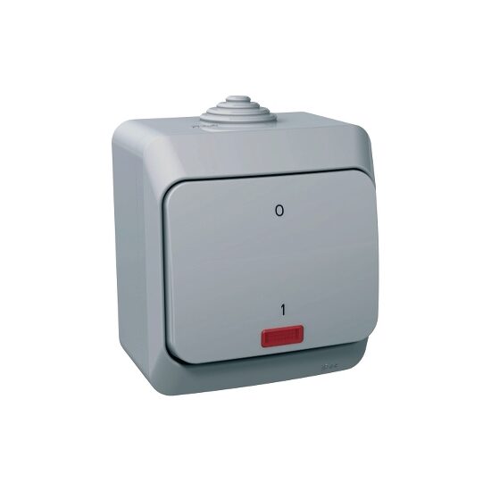 Intrerupator bipolar cu indicator luminos, gri, Schneider Electric CEDAR WDE000621