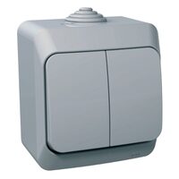Intrerupator dublu cu indicator luminos, gri, Schneider Electric CEDAR WDE000651