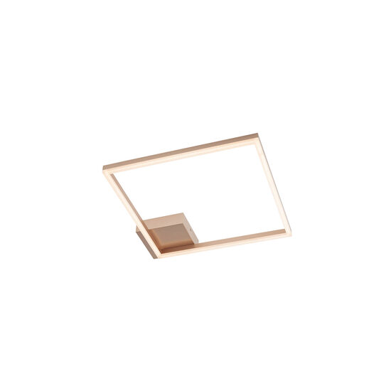 Aplica/plafoniera LED Klee 01-1639 Smarter