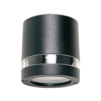Plafoniera exterior IP44 Focus 9812 Smarter
