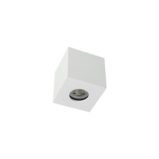 Plafoniera exterior IP65 aluminiu dispersor sticla, Vigo 90181 Smarter