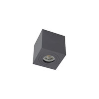 Plafoniera exterior IP65 aluminiu dispersor sticla, Vigo 90182 Smarter