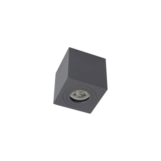 Plafoniera exterior IP65 aluminiu dispersor sticla, Vigo 90182 Smarter