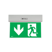 Corp de iluminat de siguranta evacuare in jos XGO ARROW DOWN Arelux GO10M ADN