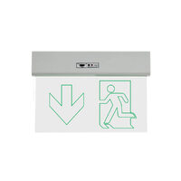 Corp de iluminat de siguranta evacuare in jos XGO ARROW DOWN TRANSPARENT Arelux GO20M ADN