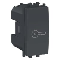 Intrerupator cu revenire simbol cheie Negru, 1 modul, 1P, EASY STYL Schneider Electric, LMR0140003