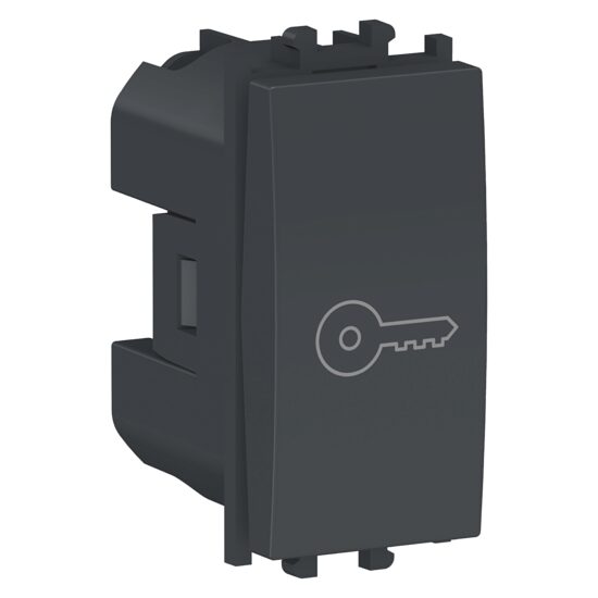 Intrerupator cu revenire simbol cheie Negru, 1 modul, 1P, EASY STYL Schneider Electric, LMR0140003