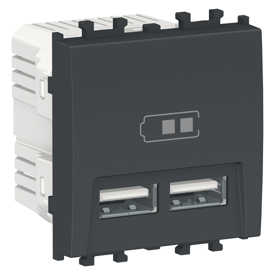 Priza dubla USB de incarcare Neagra, 2 module, EASY STYL Schneider Electric, LMR9910003