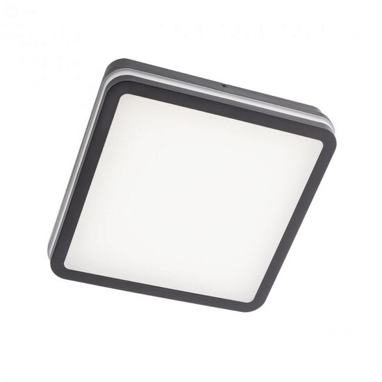 Plafoniera exterior gri IP54 LED 24W/2625lm 3000K/4000K/6500K, Isola 90288 Redo
